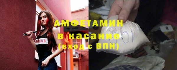 стаф Вязьма